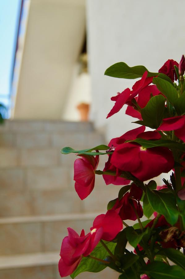 Apartments Petricevic Đảo Đảo Hvar Ngoại thất bức ảnh